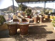 pink floyd cafe-pushkar