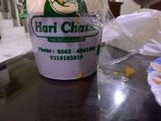 Hari Chatni