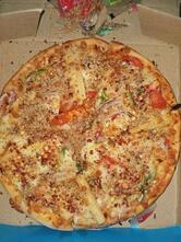 Canadian Pizza Nabha