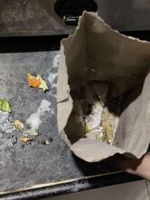 Hit & Run andheri west