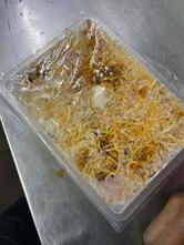 New Satyam Multicuisine Restaurant