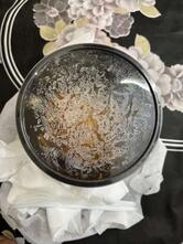 Forest Restro and Bar