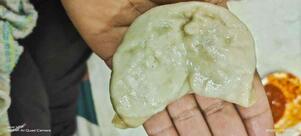 Guardians Of The Food