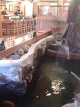 Taki Japanese Restaurant