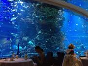 Lanchonete Charlie Chaplin