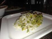 Hotel Maharaja Family Restaurant and Bar