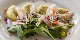 Baja Ristorante Lounge Bar Roma