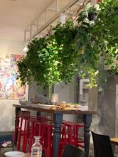 Il Margutta veggy food & art