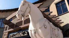 P.F. Chang's