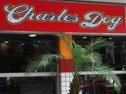 Charles Dog