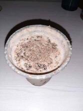 FBC - Frizzle Brittle Chicken