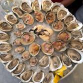 Neptune Oyster