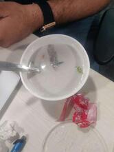 Dragon Wok - Asian Kitchen