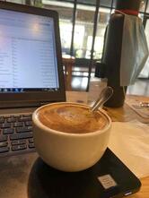 Foxbelly Coffee Roasters