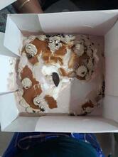 ibaco - Iyer Bunglow - Uma Agencies