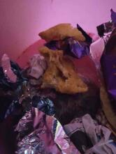 Hot Chips Veg Restaurant