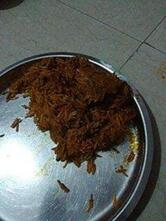 Davat nonveg restaurant