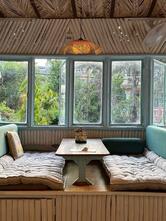 Serendipity Rishikesh - Cats Cafe & Hostel