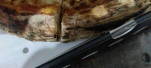 ENSO - Sourdough Pizza by Nomad