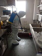 Hotel Rimi International