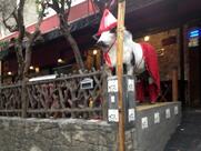 Espetinho Vaca Loka Aclimação