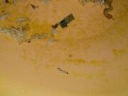 Liao's Family Hai Chinese Kitchen