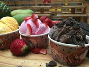 Mahabaleshwar Berry Bash