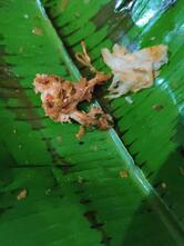 Thalassery Restaurant