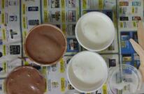 Hotel Tokas Neemrana