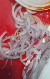 Raees Biriyani and kebab