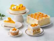 Theobroma Bakery and Cake Shop - Sahakarnagar, Bengaluru