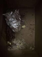 Ikigai Oriental Restaurant