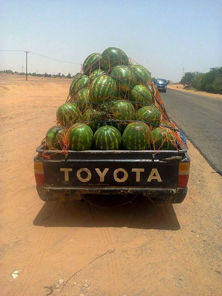 مطعم دان الخير