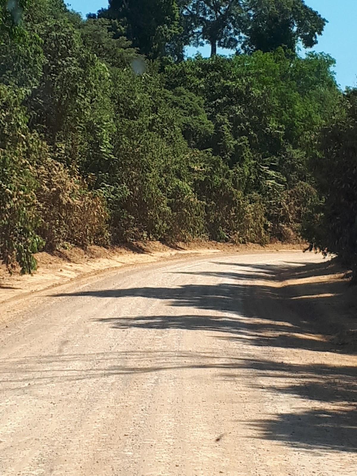 Km 180 Lanchonete/Posto/Pousada Amigo Garimpeiro