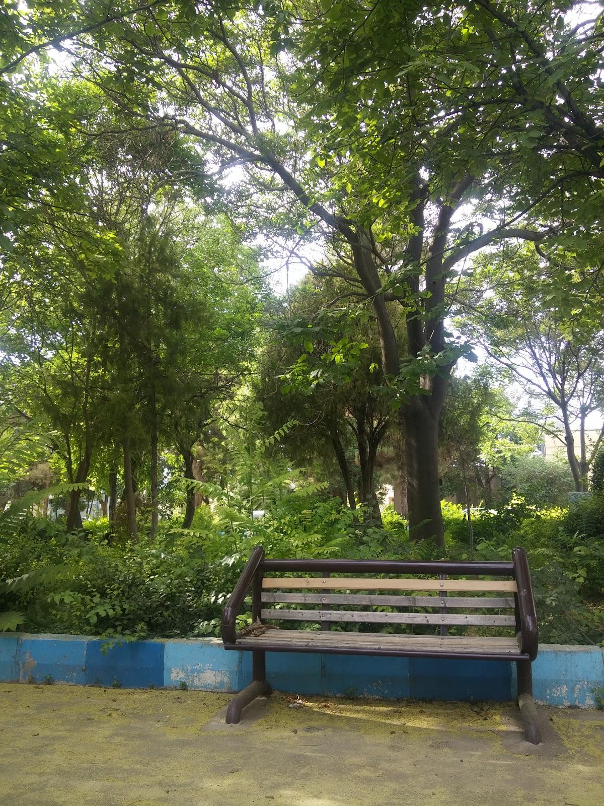 غذا خوری نوبهار