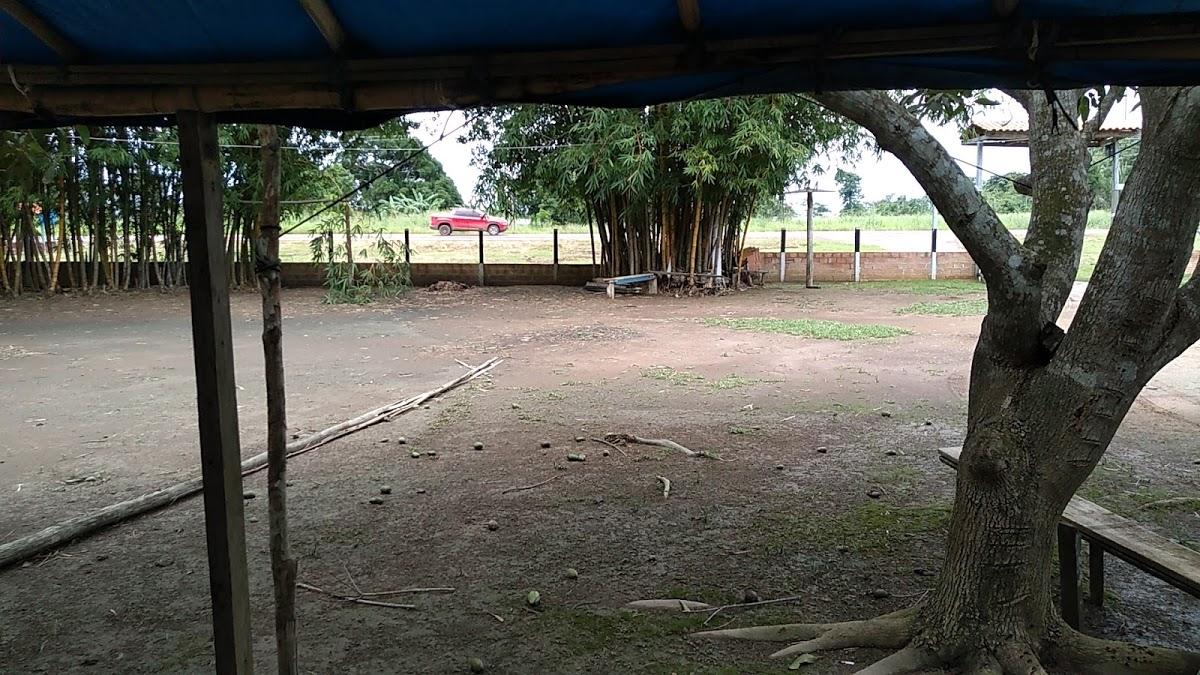 Aldenora Galinha Caipira