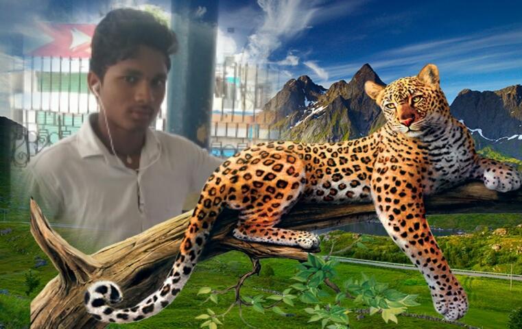 Gullapelli Saicharan Hotel