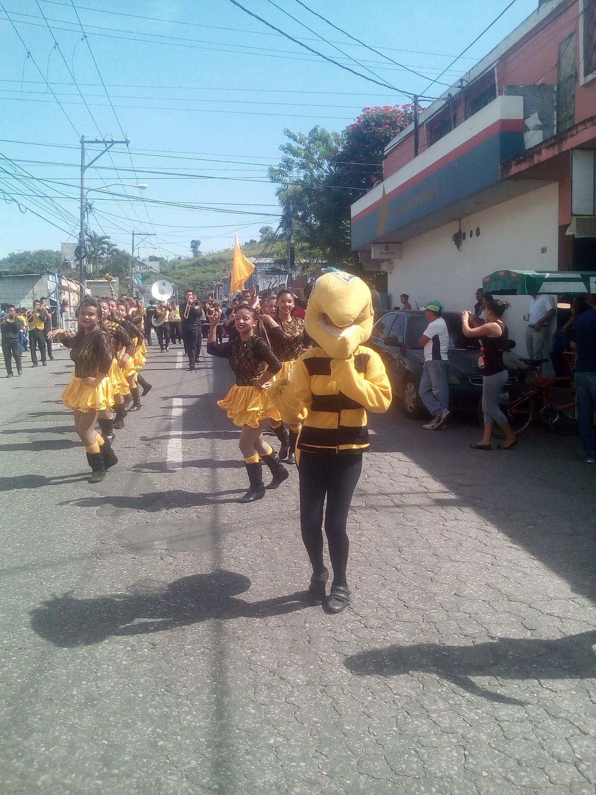 Pollo Pinulito