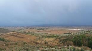 Pasticceria Angeletti