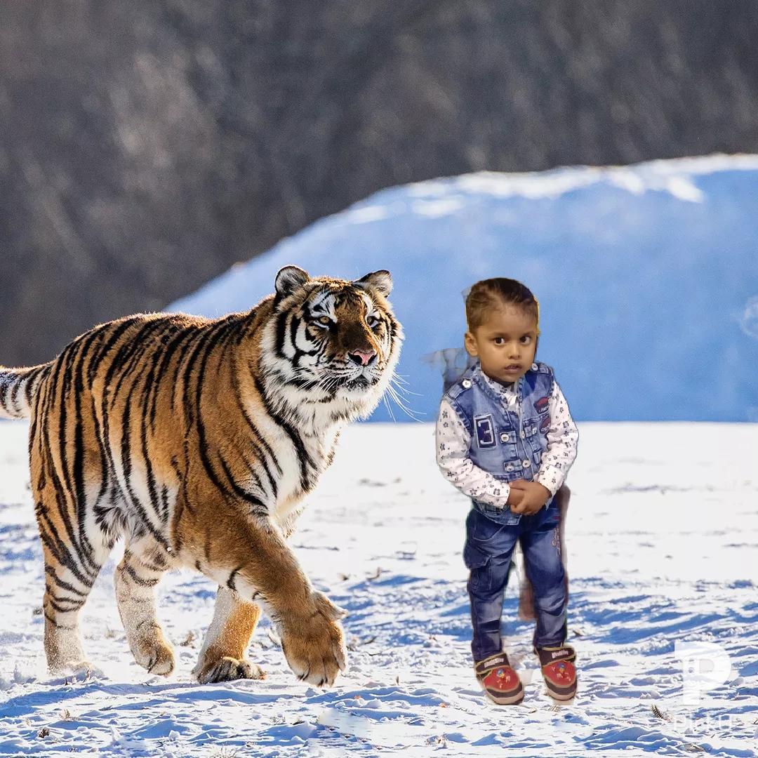 Hotel Yuvraj And Shanti Restaurant