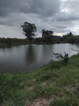 Pesque Pague Rancho Fundo