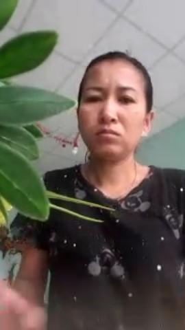 Dab Noi Restaurant