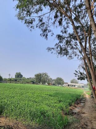 Kshirsagar hurda party