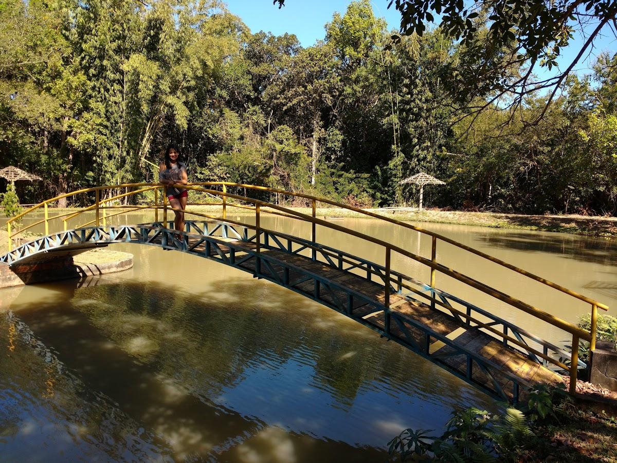 Restaurante Toca do Jacaré