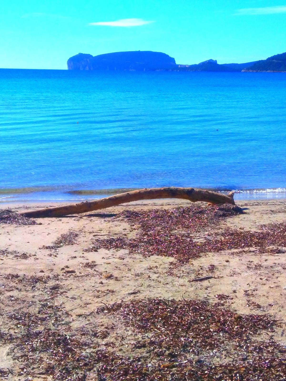 Bar Griglieria Da Giorgio