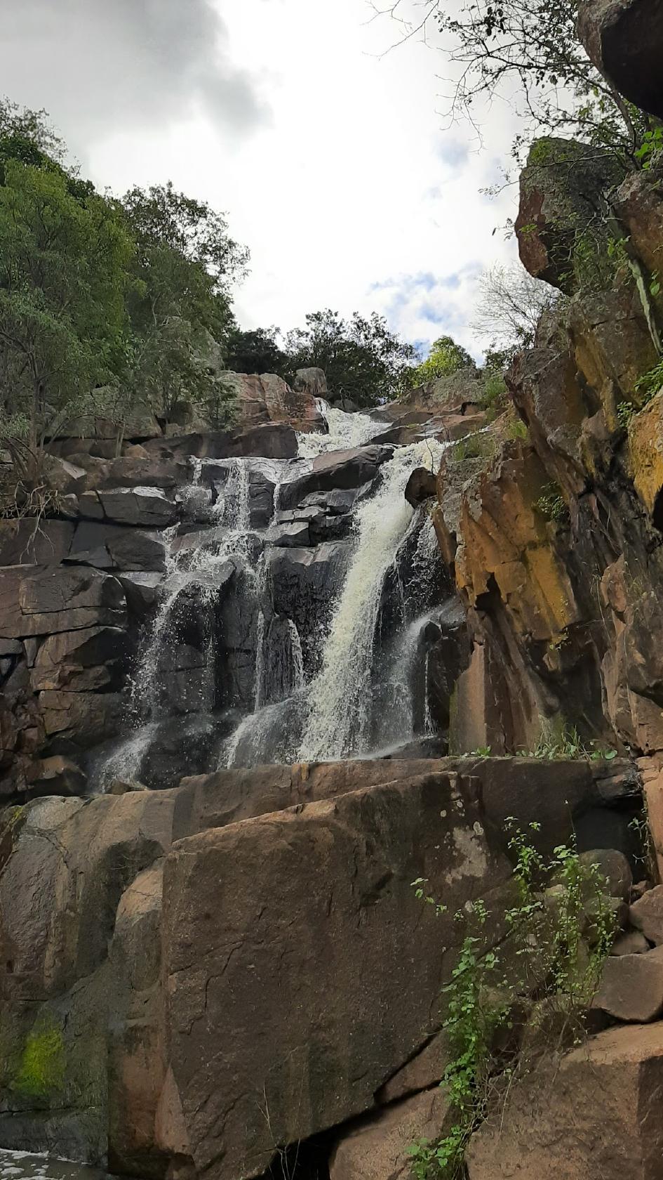 Bar do Mamona - Org: Pedro Lima