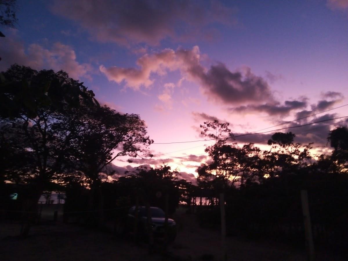 Bar do Bico Restaurante e Pizzaria