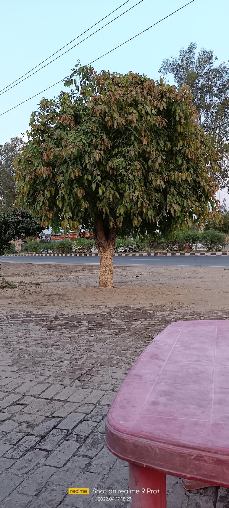 Shiv Aarti Tea stall