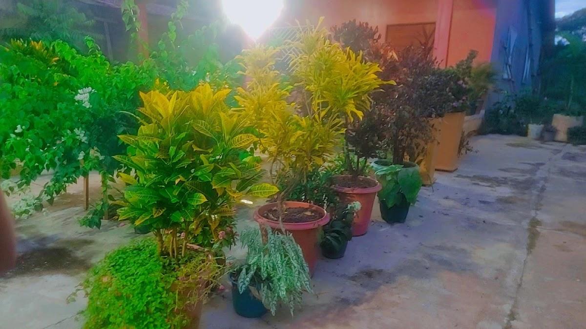 Restaurante Carne de Sol Maracá