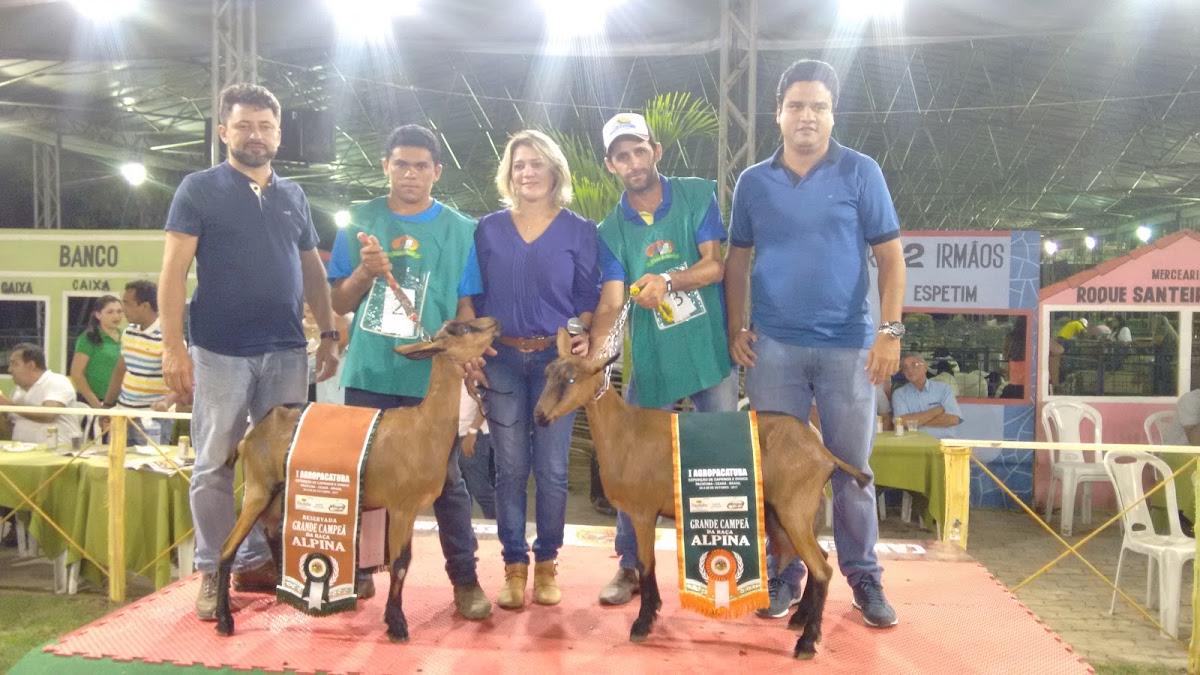 MC Lanches Rua B, 152